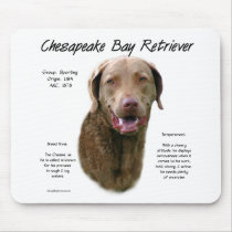 Chesapeake Bay Retriever History Design