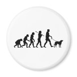 Chesapeake Bay Retriever