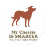 Chesapeake Bay Retriever