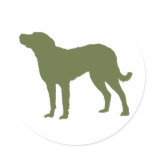 Chesapeake Bay Retriever