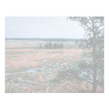 Chesapeake Bay Wetlands Personalized Invite