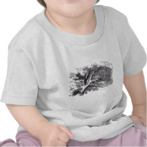 Cheshire Cat t-shirts