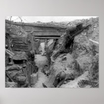 Cheshire Reg't at the Somme Print