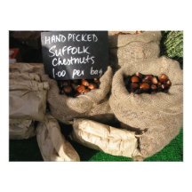 Chesnuts Art Photo