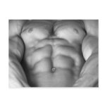 Chest Postcard #3