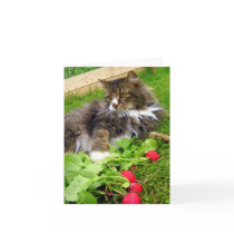 Chester and the Radishes / Notecards