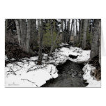 Chester Creek Two Greeting Card
