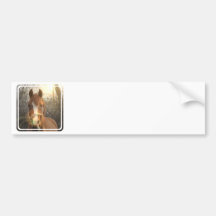 Chestnut Arab Horse Bumper Sticker
