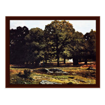 Chestnut Avenue In La Celle-Saint-Cloud Postcard