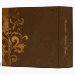 Back/Spine