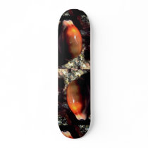 Chestnut cowrie (Cypraea spadicea) Shell Skate Decks