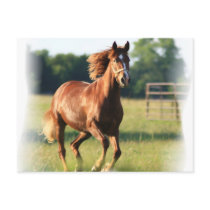 Chestnut Galloping Horse Postcard