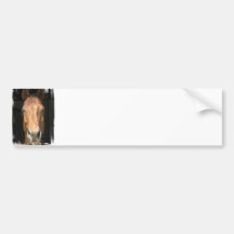 Chestnut Horse Bumper Stickers