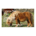 Chestnut Horse Business Card
