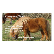 Chestnut Horse Business Card business cards