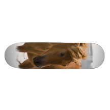 Chestnut Horse Design Skateboard
