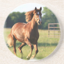 Chestnut Horse Galloping Coasters