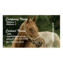 Chestnut Horse in a Field Business Cards
