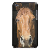 Chestnut Horse iTouch Case iPod Touch Covers