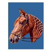 Chestnut Horse postcards
