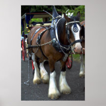 Cheval Affiche