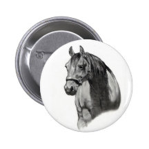 CHEVAL AU CRAYON PIN'S