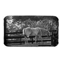 Cheval blanc au cas de Coque-Compagnon de la pouss Étui iPhone 3