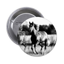 Cheval courant de B&W Pin's
