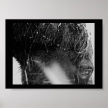 Cheval dans la neige posters