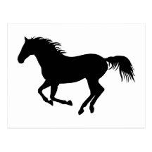 Cheval noir 1 carte postale