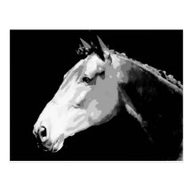 Cheval noir et blanc carte postale
