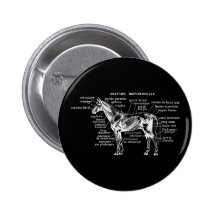 Cheval Pin's