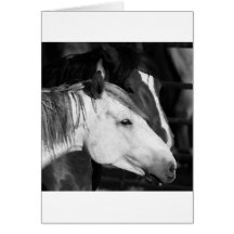 cheval sauvage carte