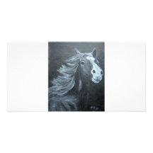 cheval sauvage cartes avec photo