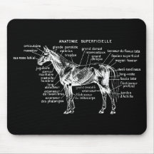 Cheval Tapis De Souris