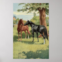 Cheval vintage le cavalier de première rencontre poster