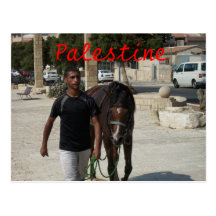 Chevalier palestinien cartes postales