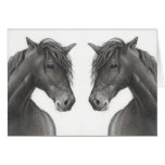 CHEVAUX AU CRAYON : ESPRIT ANALOGUE : CARTE
