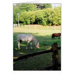 Chevaux Carte De Vœux