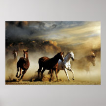 Chevaux courants affiche