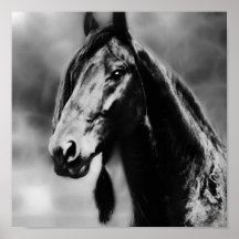 Chevaux d'Apache Posters