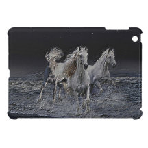 Chevaux sauvages