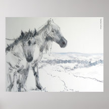 Chevaux sauvages peignant 'prendre l'air II Poster