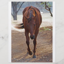 Chevaux venant à la maison tract
