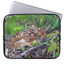 Chevreuil de Bambi le bébé Housse Pour Ordinateur Portable