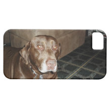 Chewy Chocolate Chip iPhone 5 Case