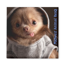 Chewy in a hood, Midwest Animal ResQ Fridge Magnets