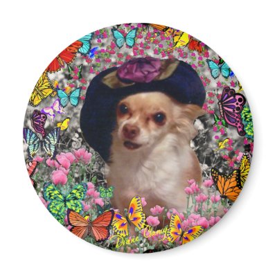 Chi Chi in Butterflies - Chihuahua Refrigerator Magnets by dianeclancyart