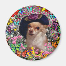 Chi Chi in Butterflies - Chihuahua Refrigerator Magnets