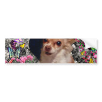 Chi Chi in Butterflies  - Chihuahua Puppy in Hat Bumper Stickers